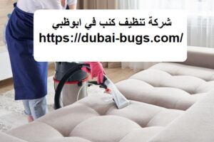 شركة تنظيف كنب في ابوظبي