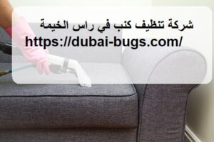 شركة تنظيف كنب في راس الخيمة