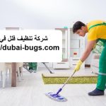 شركة تنظيف فلل في العين