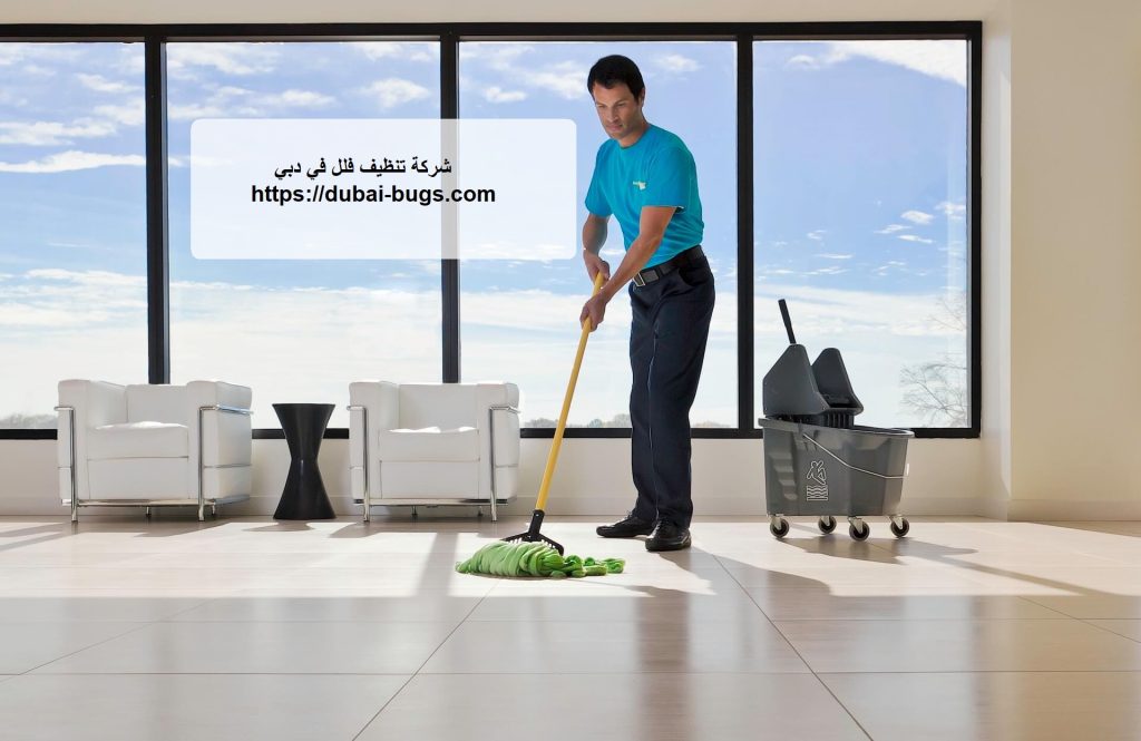 شركة تنظيف فلل في دبي | 0543690242 في الإمارات