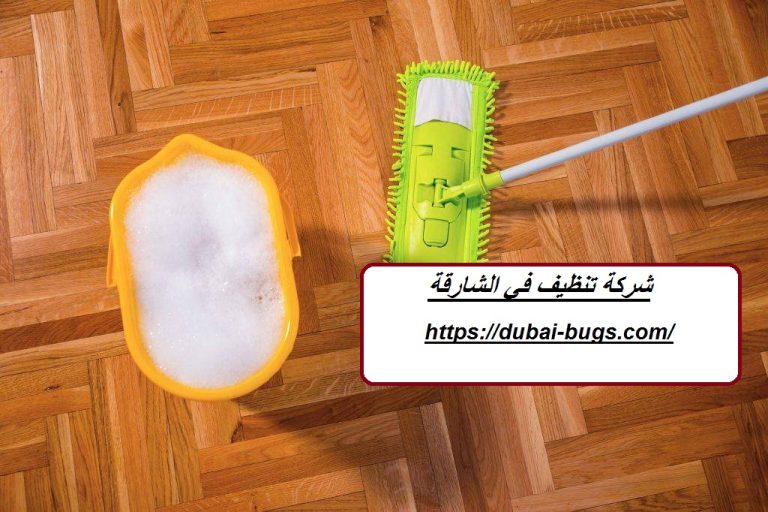 شركة تنظيف في الشارقة