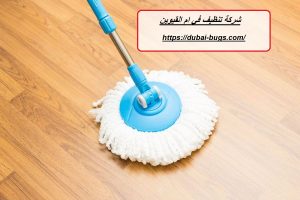 شركة تنظيف في ام القيوين |0543690242