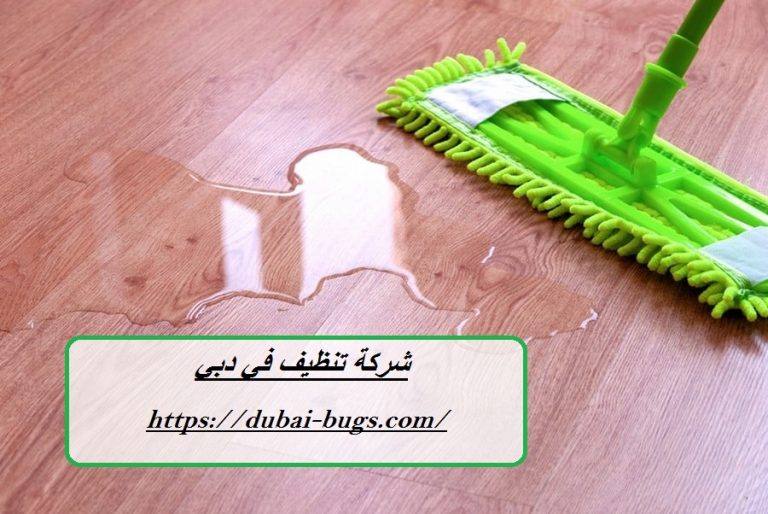 شركة تنظيف في دبي