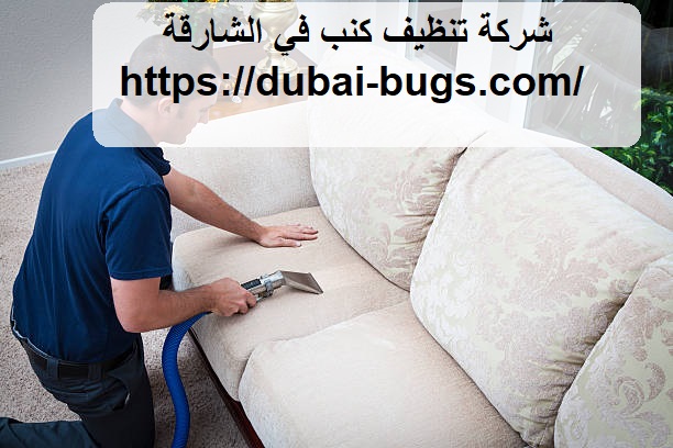 شركة تنظيف كنب في الشارقة