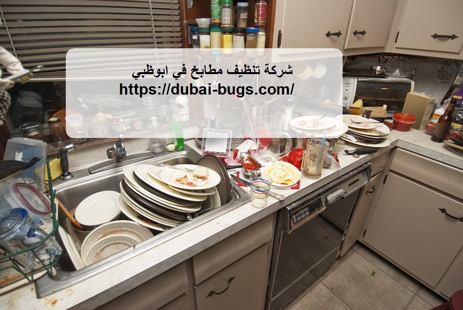 شركة تنظيف مطابخ في ابوظبي