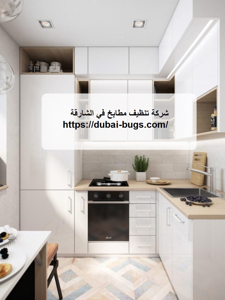 شركة تنظيف مطابخ في الشارقة