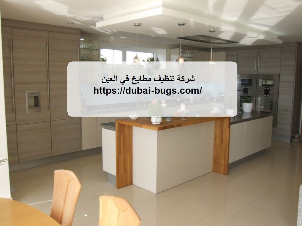 شركة تنظيف مطابخ في العين