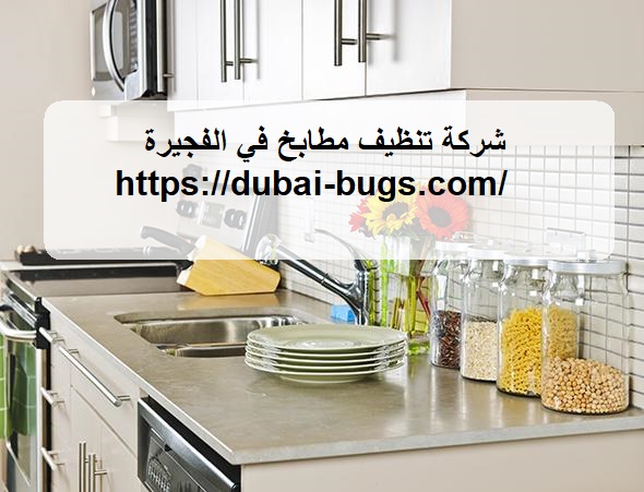 شركة تنظيف مطابخ في الفجيرة