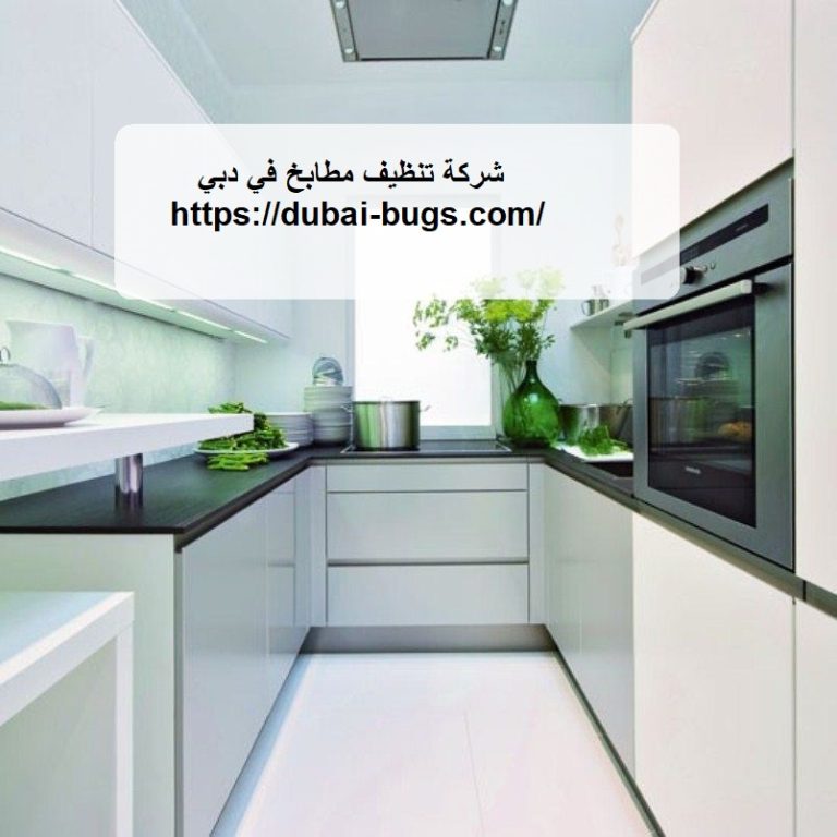 شركة تنظيف مطابخ في دبي