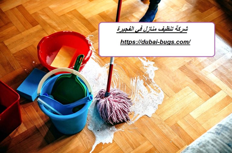 شركة تنظيف منازل في الفجيرة