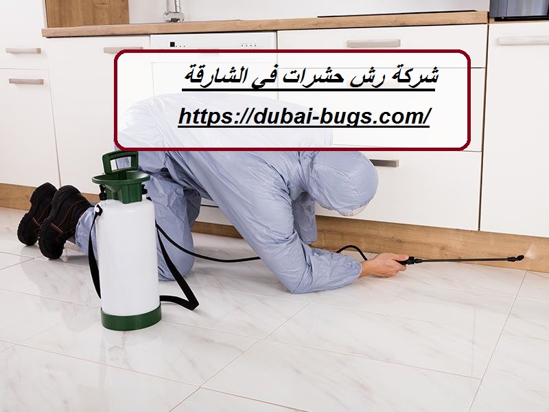 شركة رش حشرات في الشارقة