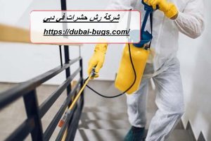 شركة رش حشرات في دبي |0543690242