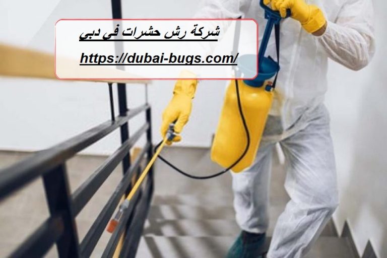 شركة رش حشرات في دبي
