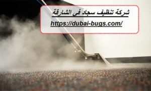 شركة تنظيف سجاد في الشارقة