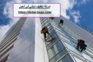 شركة تنظيف مباني في العين