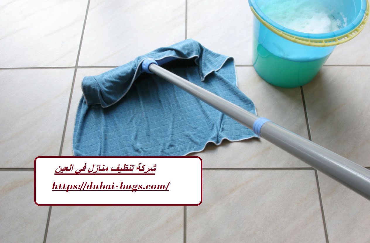 شركة تنظيف منازل في العين