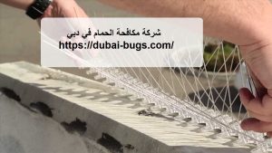 شركة مكافحة الحمام في دبي |0543690242