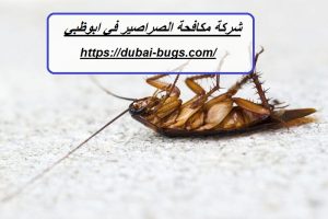 شركة مكافحة الصراصير في ابوظبي |0543690242