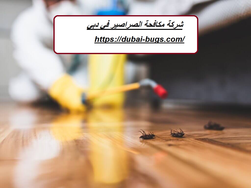 شركة مكافحة الصراصير في دبي