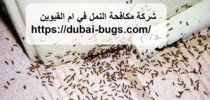 شركة مكافحة النمل في ام القيوين |0543690242