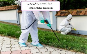 شركة مكافحة حشرات في ابوظبي |0543690242