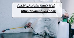 شركة مكافحة حشرات في الفجيرة |0543690242