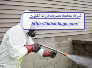 شركة مكافحة حشرات في ام القيوين |0543690242