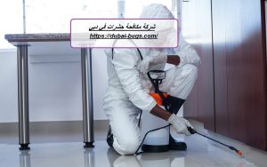 شركة مكافحة حشرات في دبي |0543690242