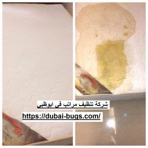 شركة تنظيف مراتب في ابوظبي