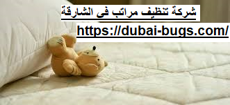شركة تنظيف مراتب في الشارقة