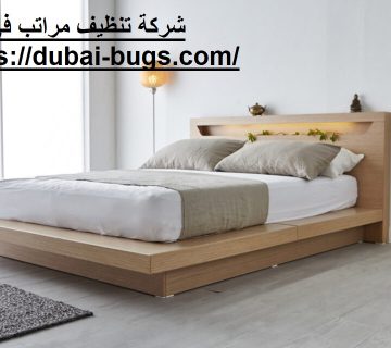 شركة تنظيف مراتب في العين