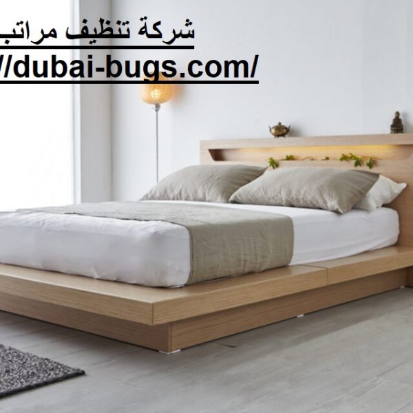 شركة تنظيف مراتب في العين