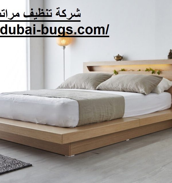 شركة تنظيف مراتب في العين