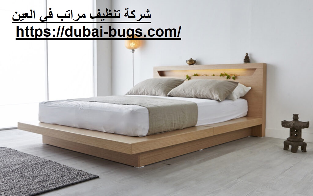 شركة تنظيف مراتب في العين