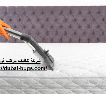 شركة تنظيف مراتب في الفجيرة