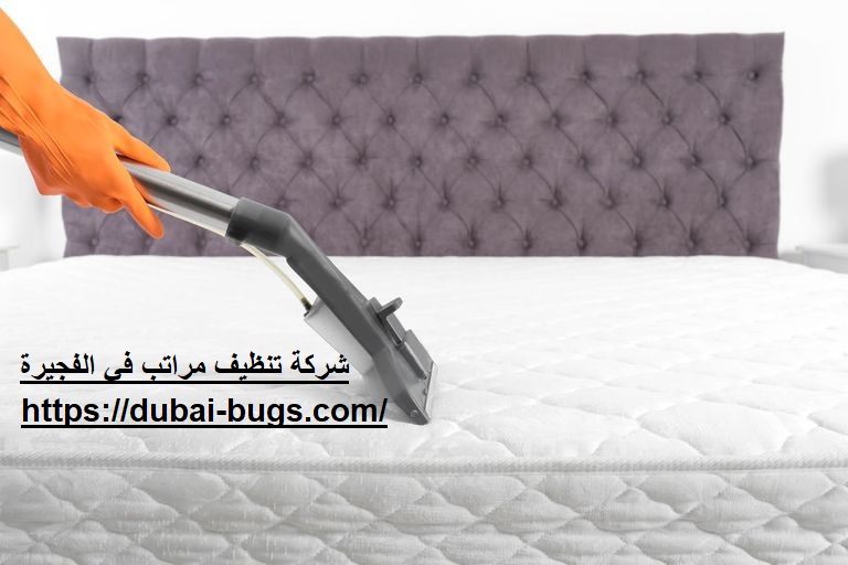 شركة تنظيف مراتب في الفجيرة