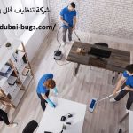 شركة تنظيف فلل في أبوظبي
