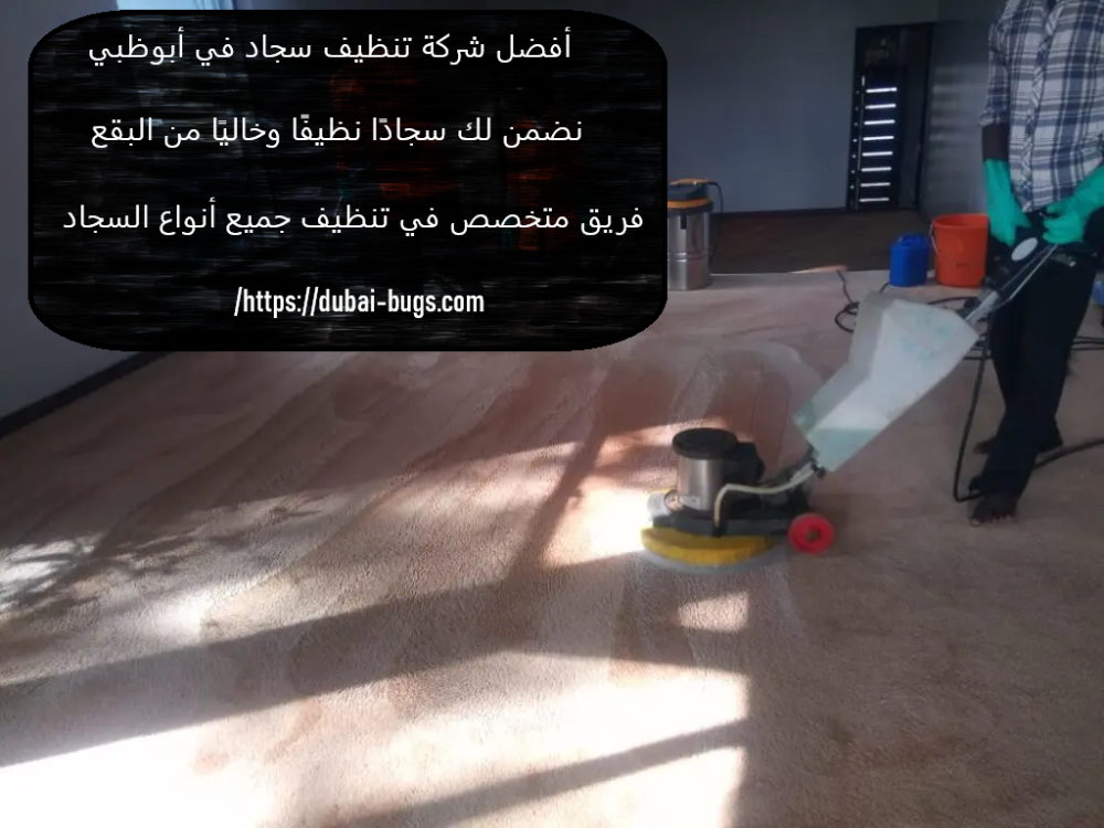 أفضل شركة تنظيف سجاد في أبوظبي