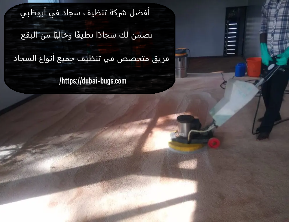 أفضل شركة تنظيف سجاد في أبوظبي
