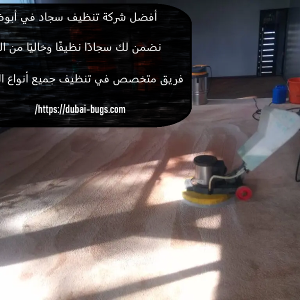 أفضل شركة تنظيف سجاد في أبوظبي