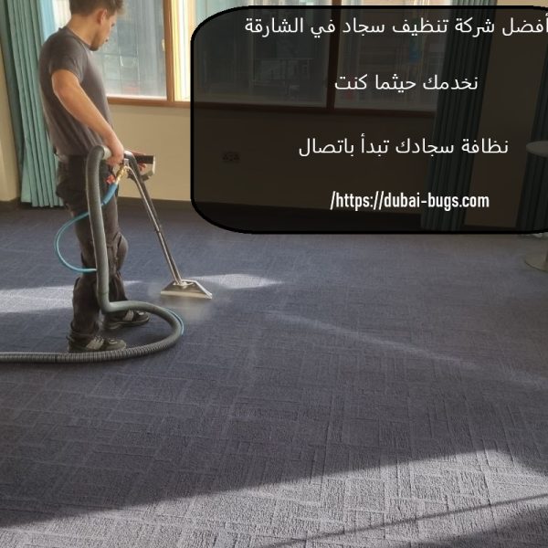 أفضل شركة تنظيف سجاد في الشارقة