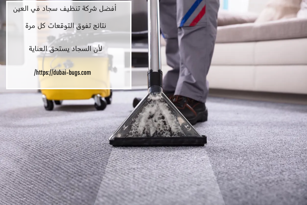 أفضل شركة تنظيف سجاد في العين