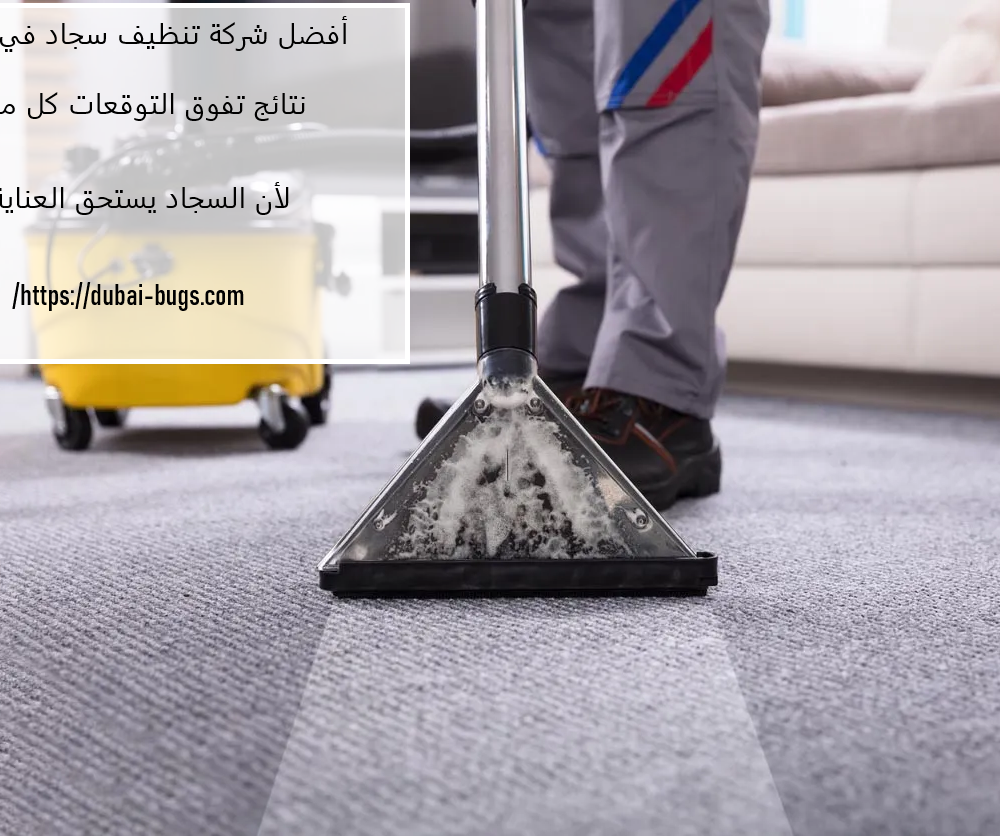 أفضل شركة تنظيف سجاد في العين