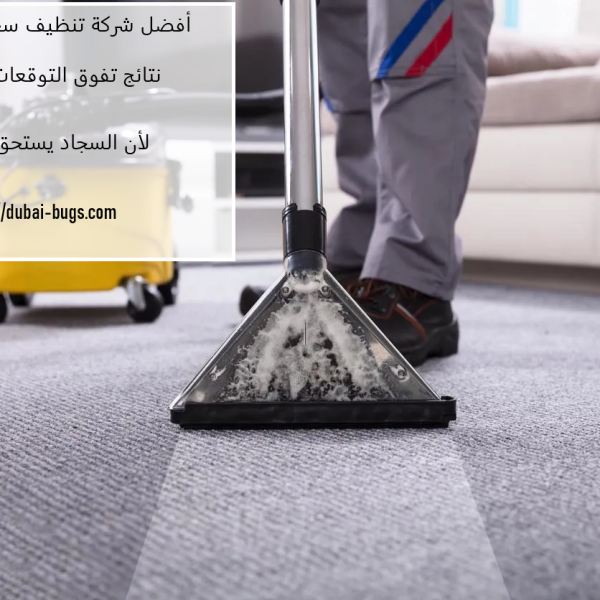أفضل شركة تنظيف سجاد في العين