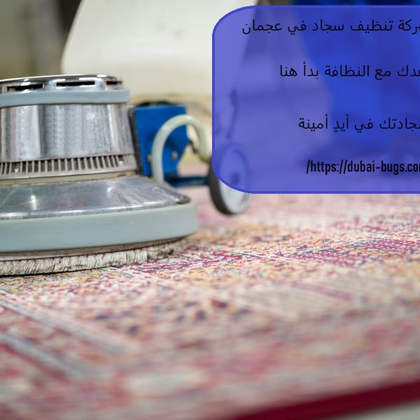 أفضل شركة تنظيف سجاد في عجمان