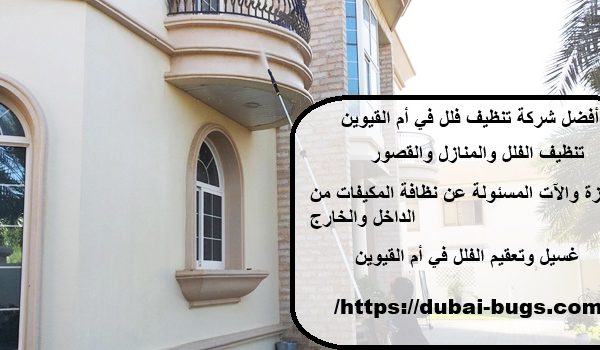 أفضل شركة تنظيف فلل في أم القيوين
