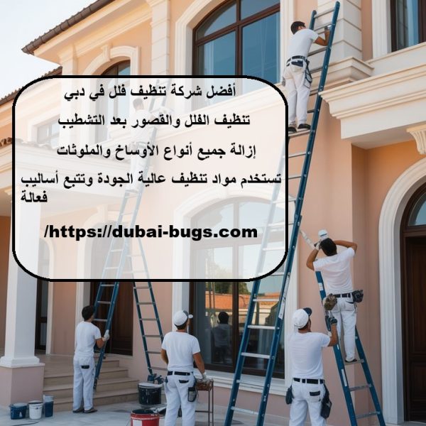 أفضل شركة تنظيف فلل في دبي