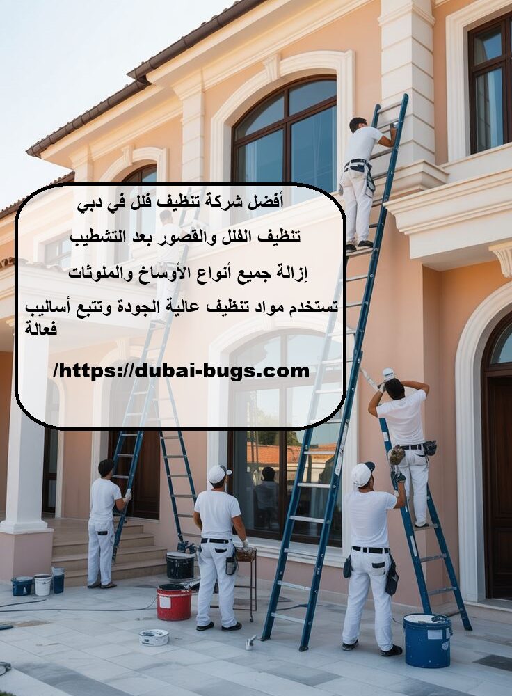 أفضل شركة تنظيف فلل في دبي