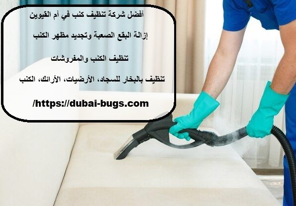 أفضل شركة تنظيف كنب في أم القيوين