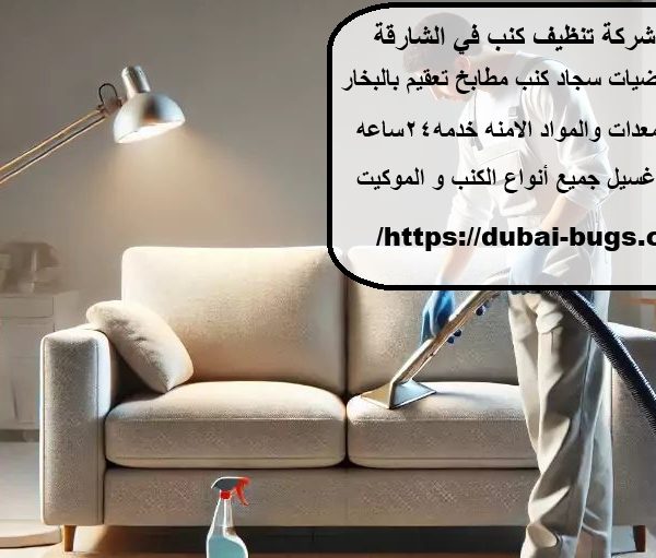 أفضل شركة تنظيف كنب في الشارقة